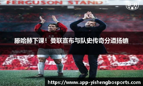 易胜博体育app
